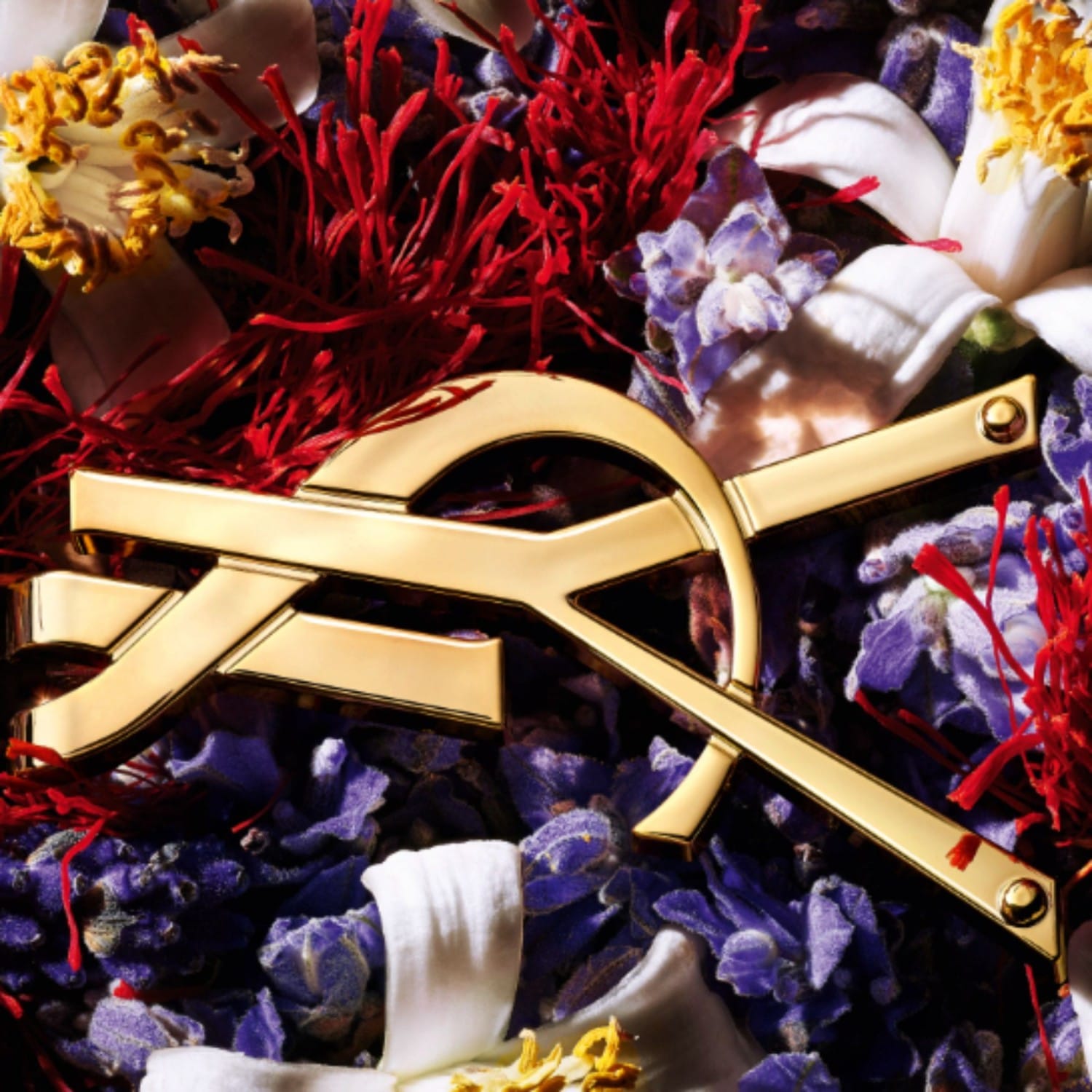 Yves Saint Laurent Le Parfum