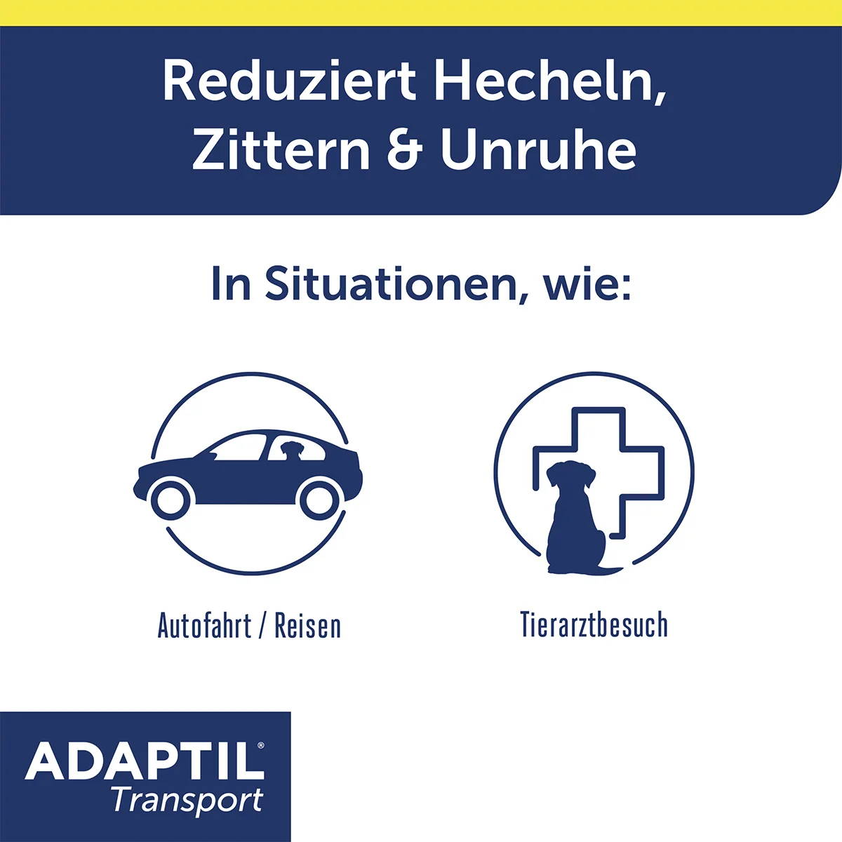 Pheromonspray zur Entspannung bei Hunden in Transportsituationen.