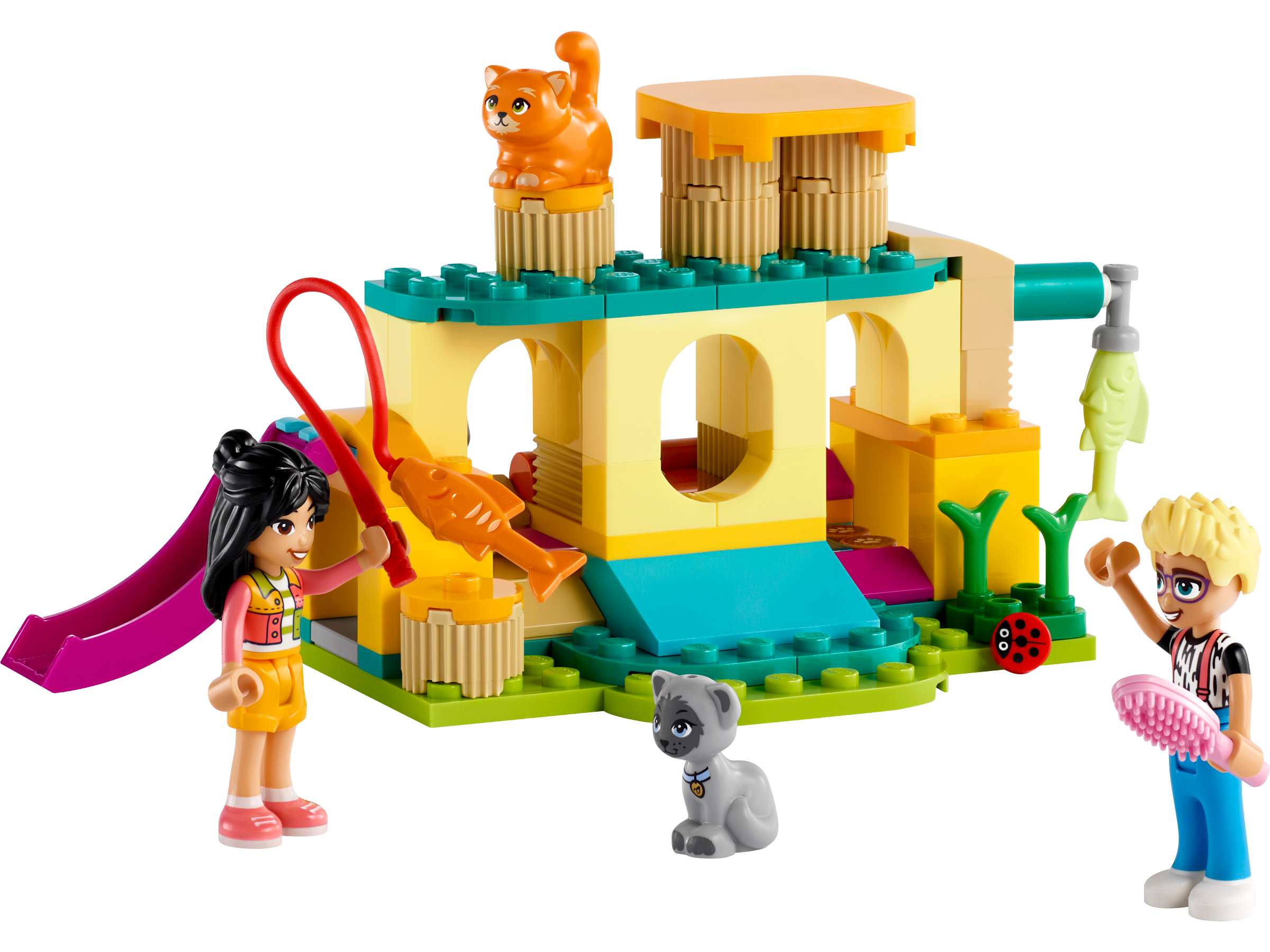Abenteuer auf dem Katzenspielplatz 42612