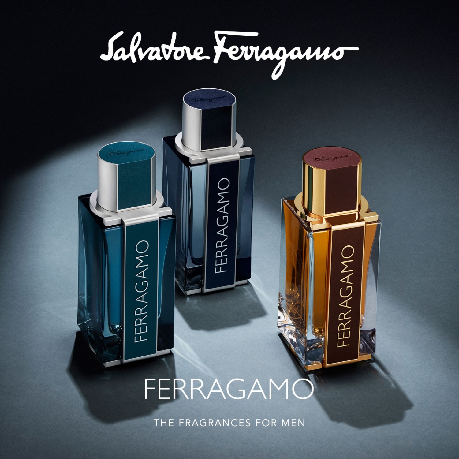 Ferragamo Ferragamo Spicy Leather