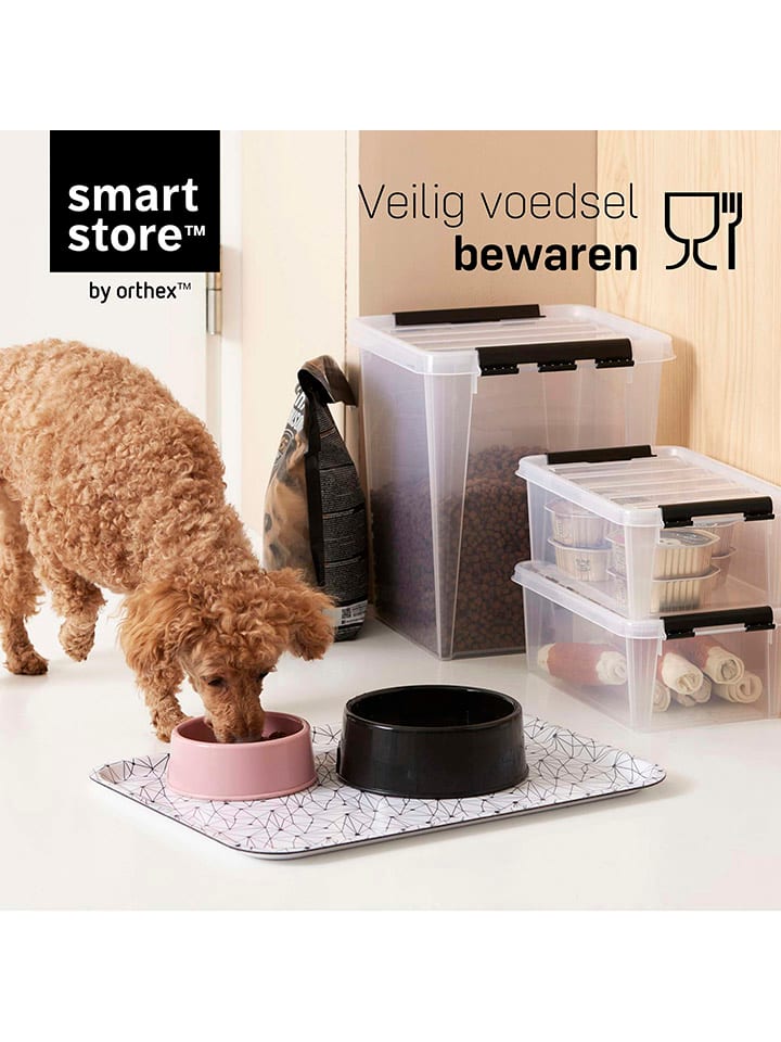 SmartStore Aufbewahrungskiste ''Classic'' - (B)59 x (H)31 x (T)39 cm günstig kaufen onesize
