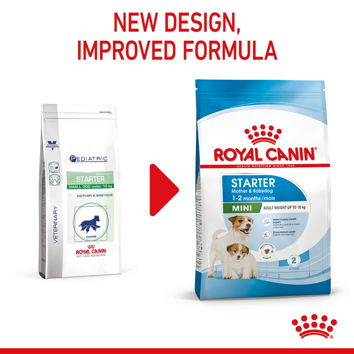 ROYAL CANIN MINI Starter Trockenfutter für tragende Hündinnen und Welpen kleiner Rassen