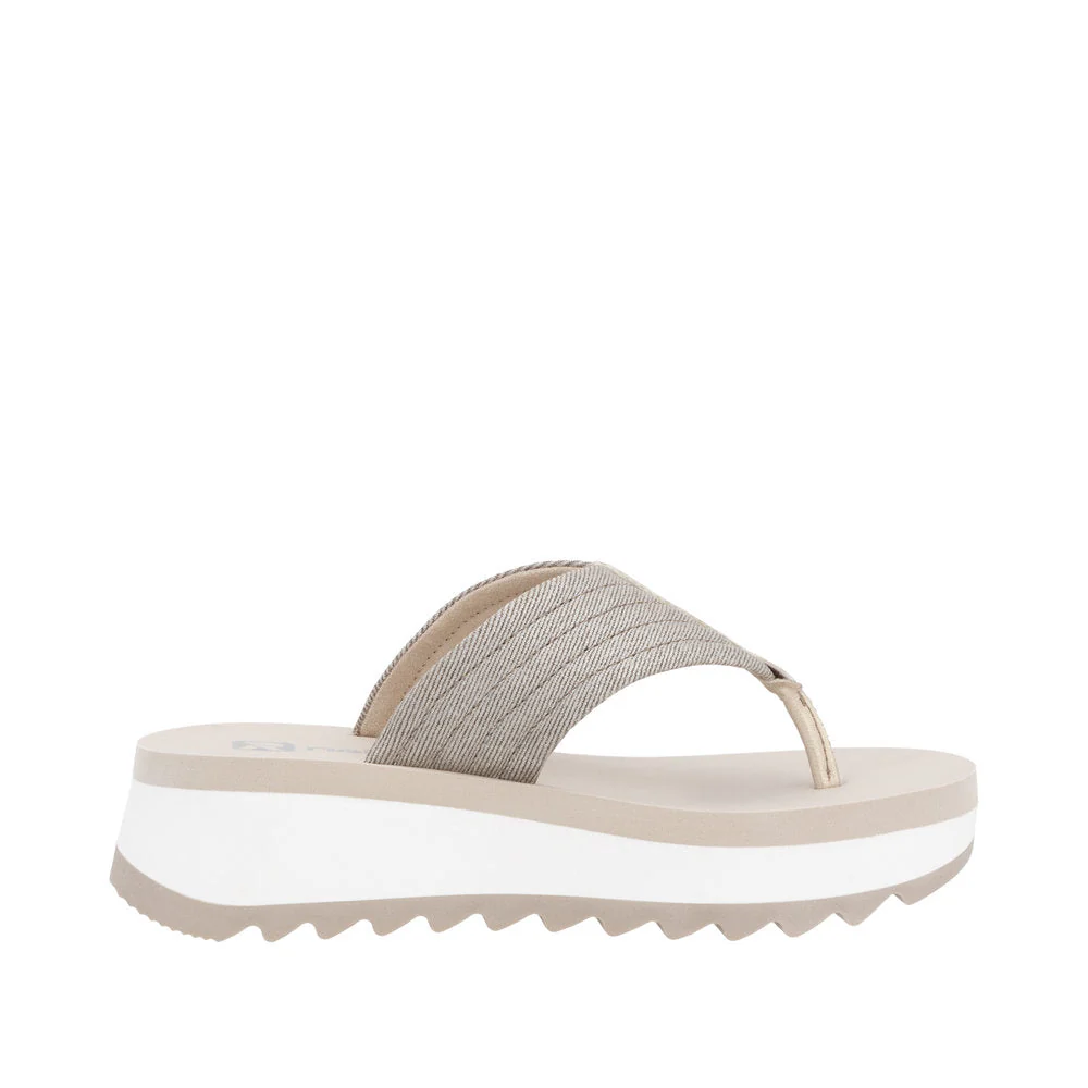 W3054 Bailey