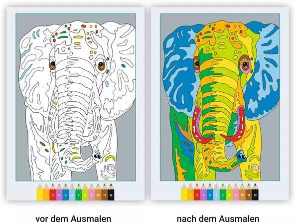 CreArt Malen nach Zahlen ab 7: Wilde Tiere
