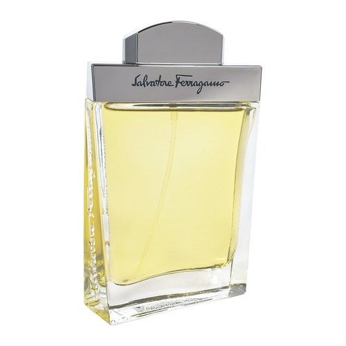 Salvatore Ferragamo Homme Eau de Toilette 100 ml
