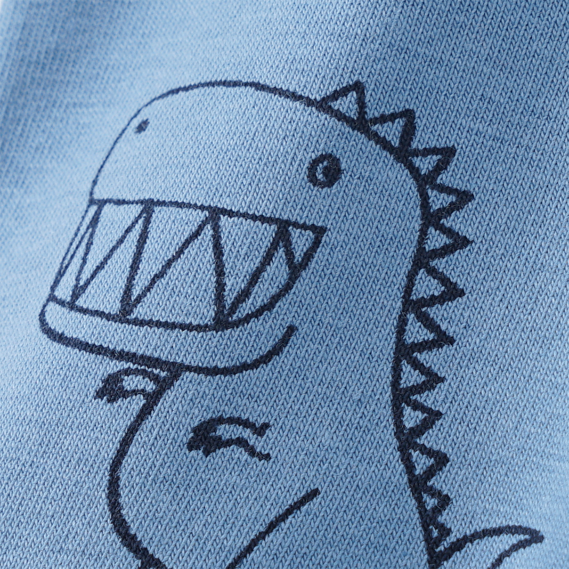 5 Jungen Boxer in verschiedenen Dessins