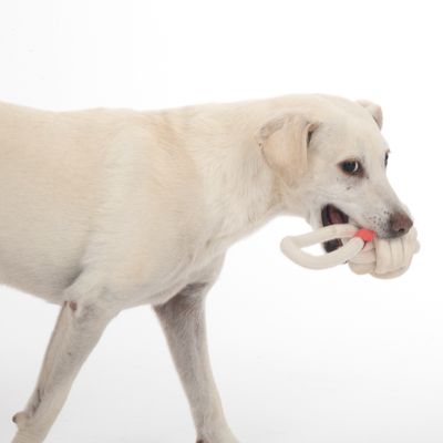 TIAKI Hundespielzeug Seilball mit Griff