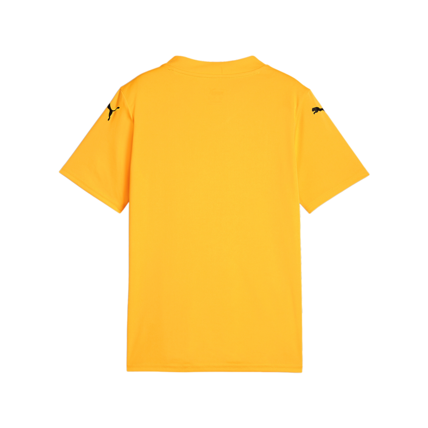 PUMA teamGLORY Trikot Kids Orange Schwarz F61