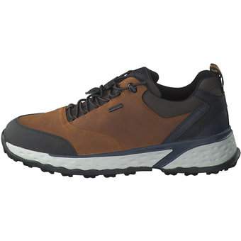 Geox Sneaker in braun