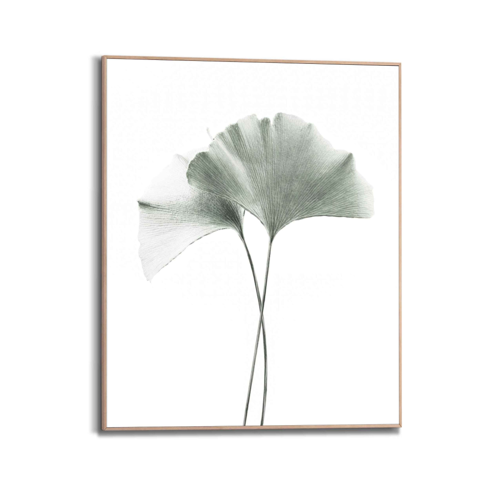 Rahmenbild Gingko