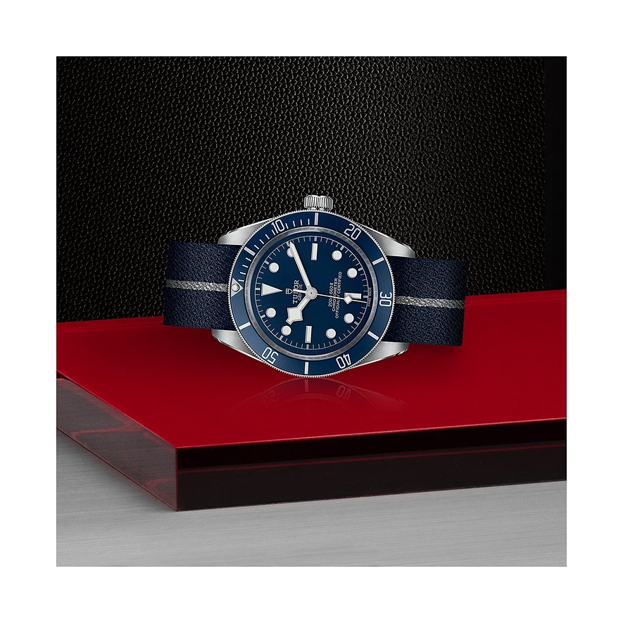 Tudor Herrenuhr Black Bay 58
