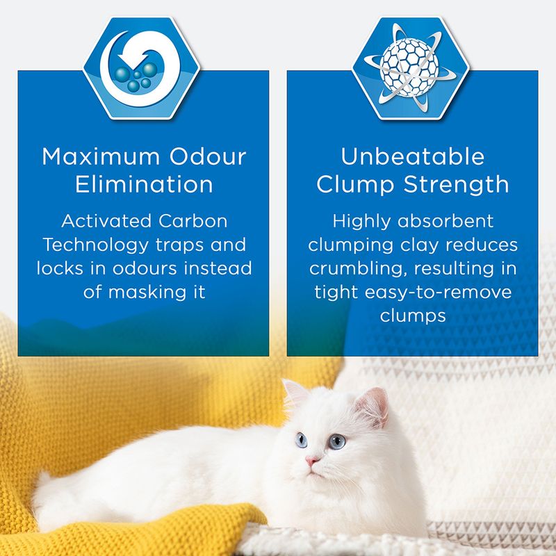 Ever Clean Naturally Katzenstreu zu TOP-Preisen