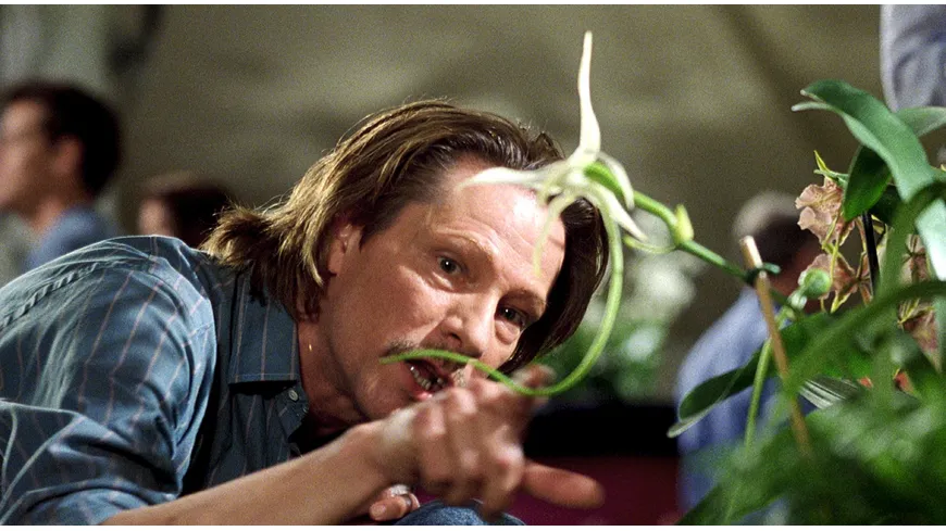 Adaption - Der Orchideen-Dieb