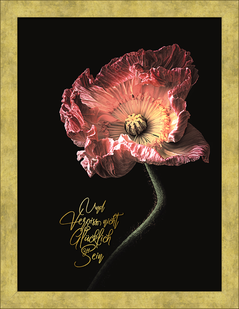 Kunstdruck Beautiful & Gold IV 35 x 45 cm