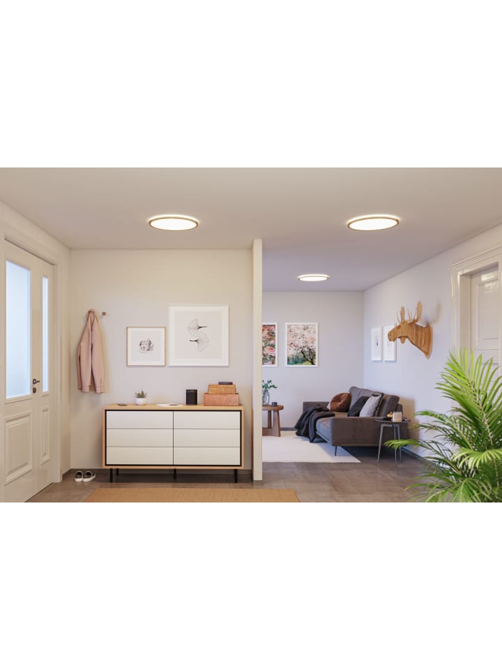 paulmann LED Panel Atria Shine günstig kaufen onesize