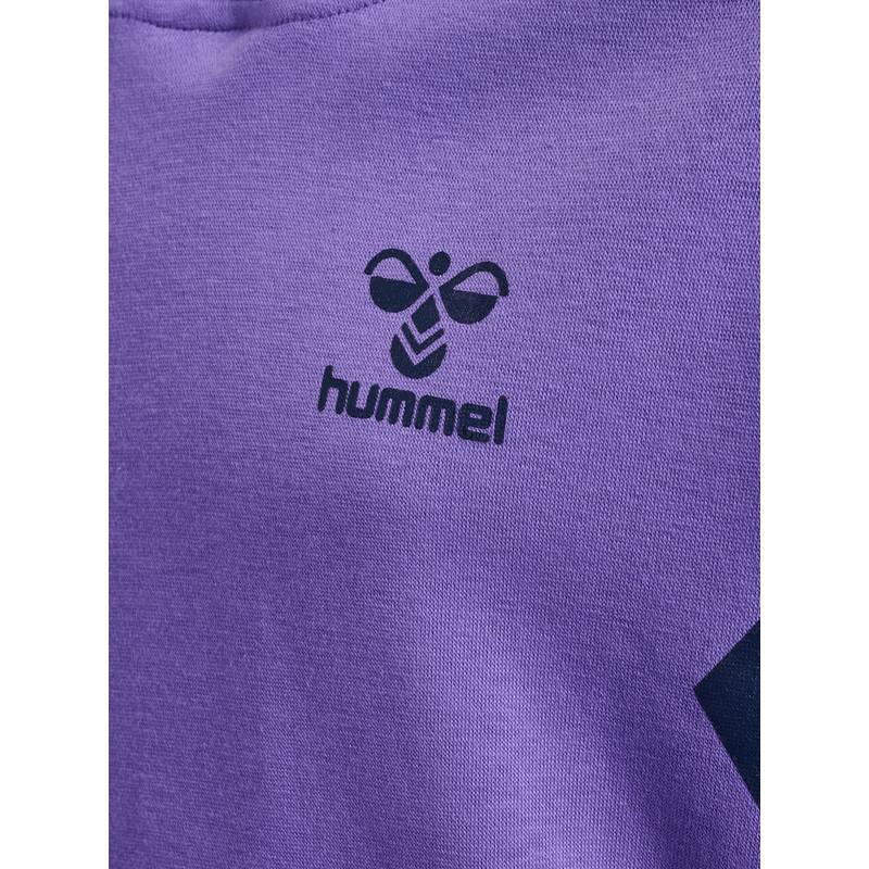 hummel hmlSTALTIC COTTON HOODIE KIDS Sweatshirt Kinder