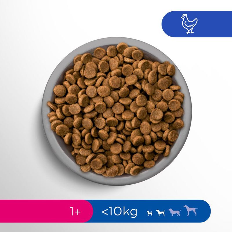 Perfect Fit Adult Small Dogs (<10kg)