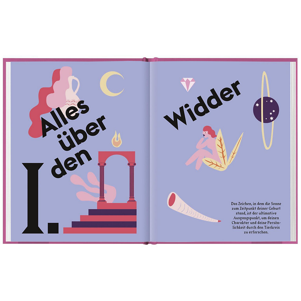 Widder