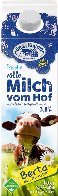 Große Kintrup Vollmilch 3,8%