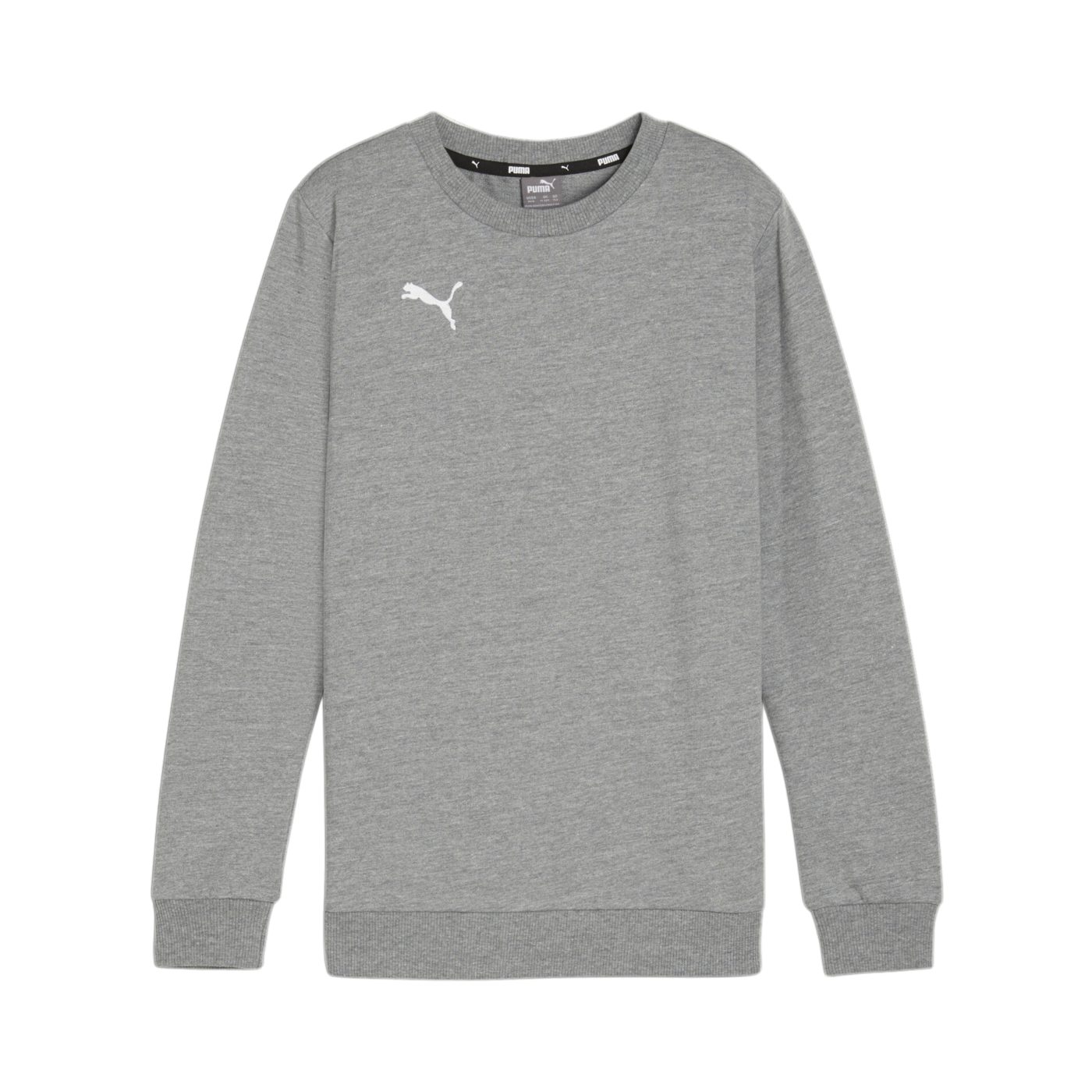 PUMA teamGOAL Casuals Sweatshirt Kids Grau F33