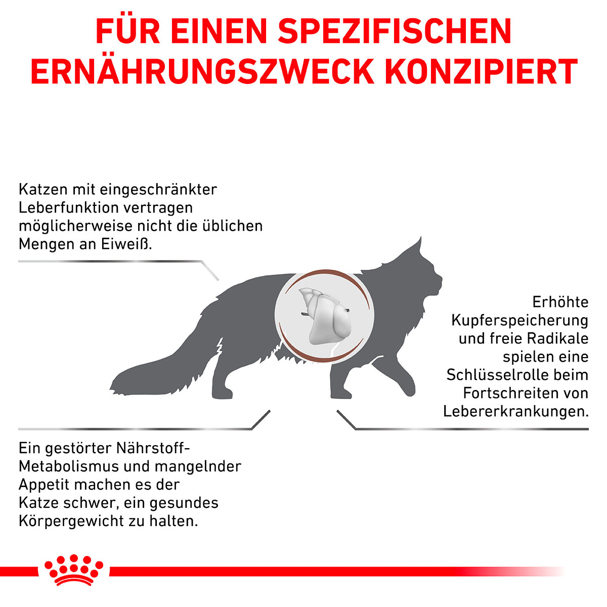 ROYAL CANIN Veterinary HEPATIC Trockenfutter für Katzen