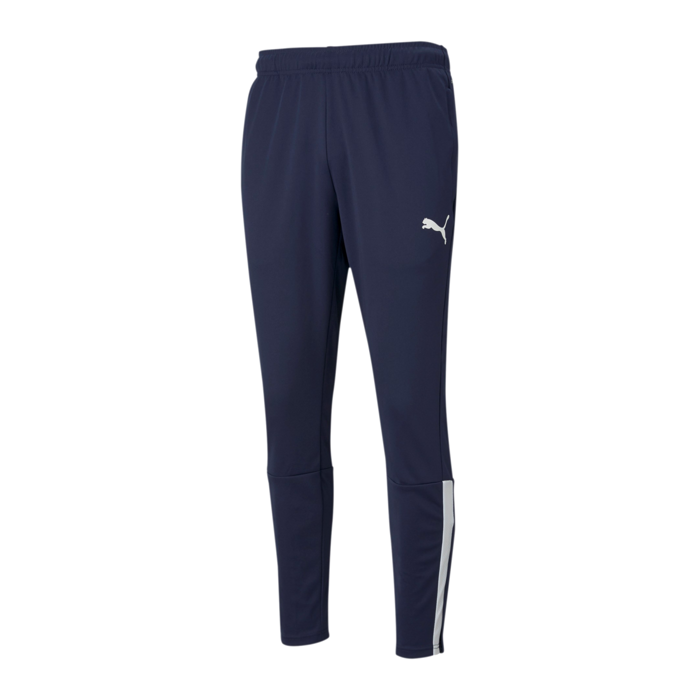 PUMA teamLIGA Trainingshose Blau F06