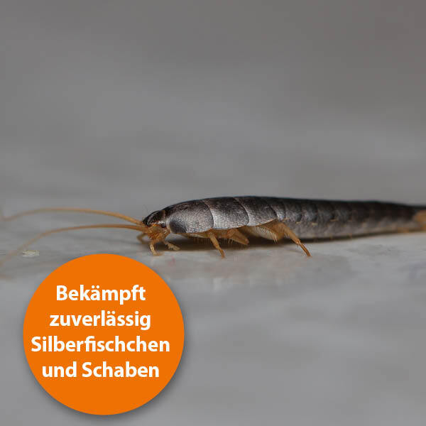 Ardap Zubehör Ardap Silberfischchen Köderdose 4er Pack