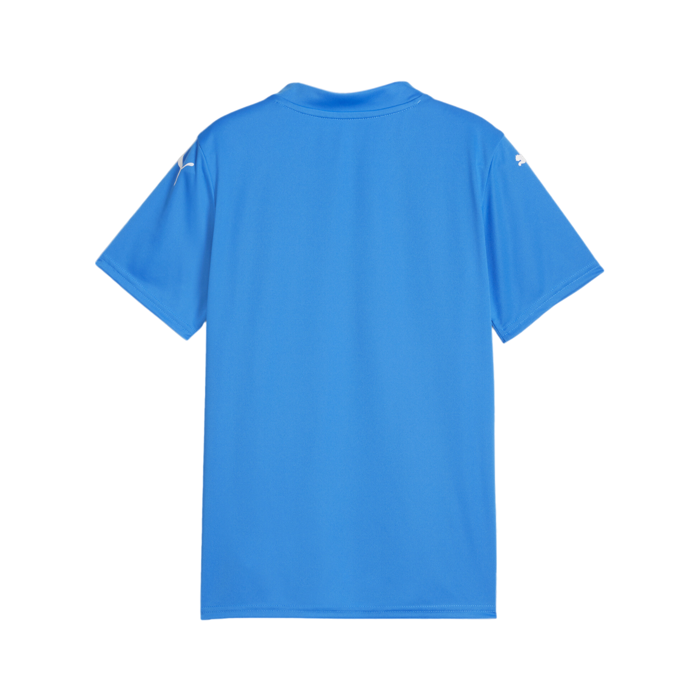 PUMA teamGLORY Trikot Kids Blau Weiss Blau F02
