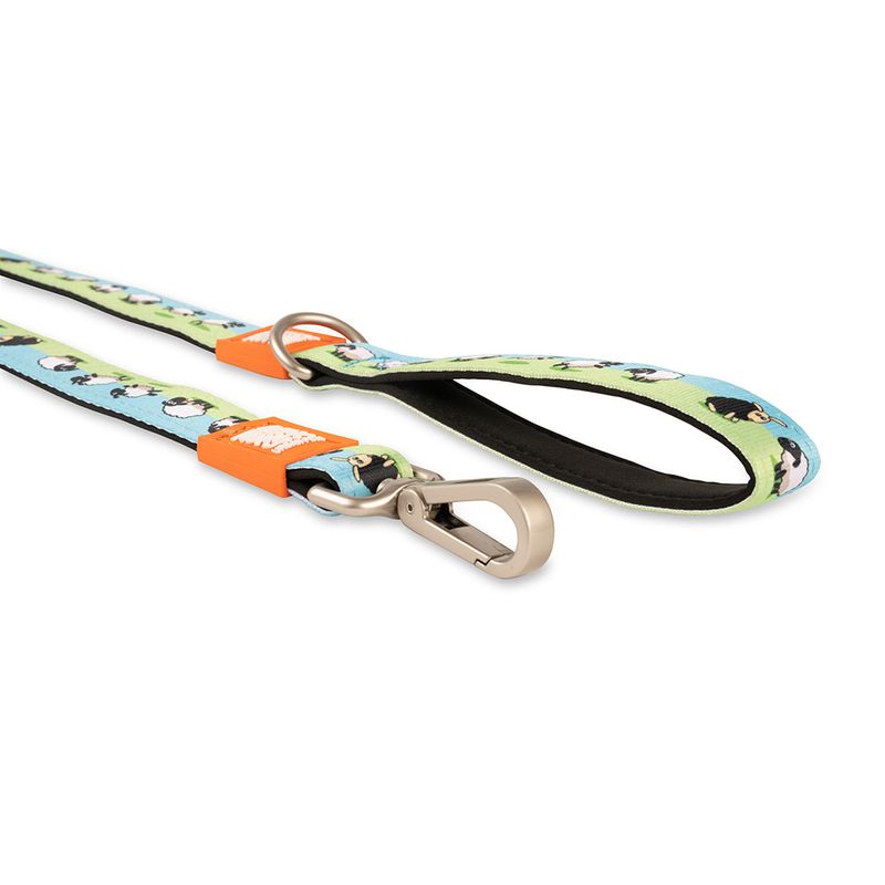 Max & Molly Kurzleine Black Sheep zu TOP-Preisen