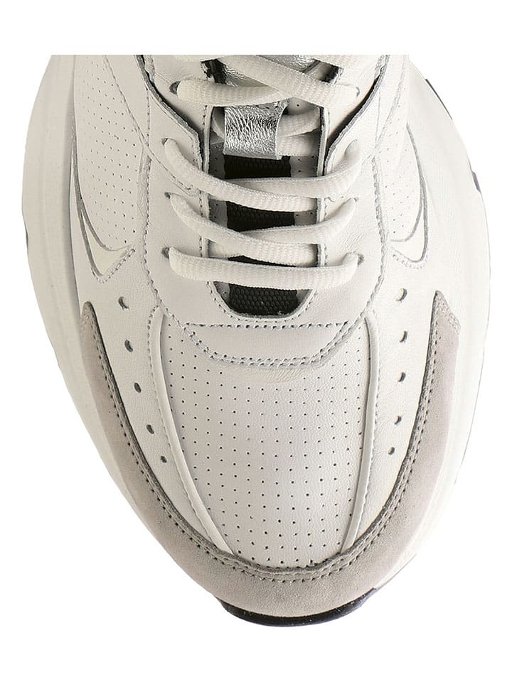 Högl Leder-Sneakers 