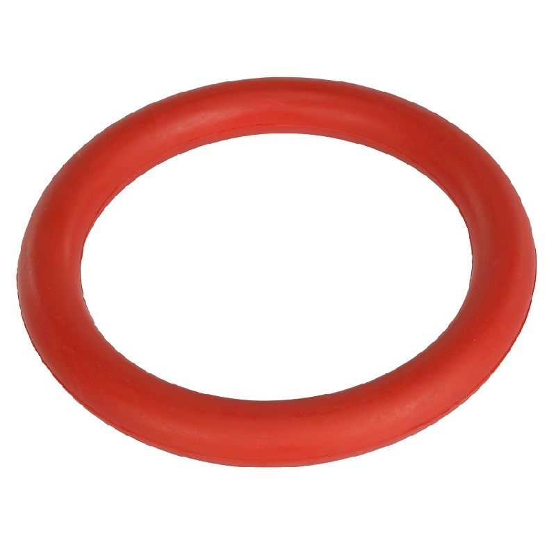 FIT+FUN Frisbees & Wurfspielzeug FIT+FUN Ring