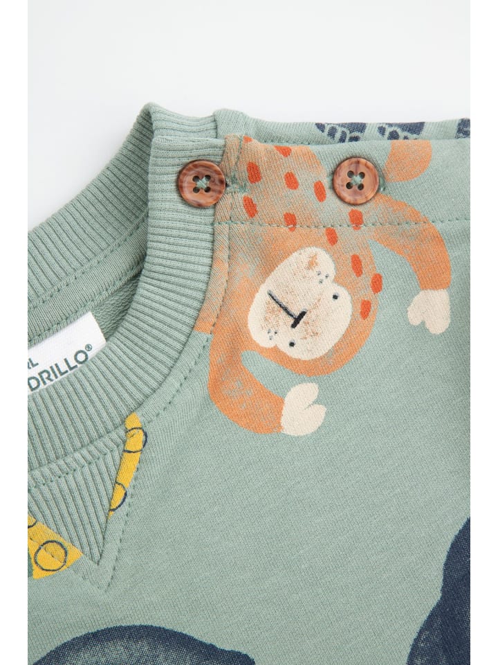 Coccodrillo Sweatshirt in khaki günstig kaufen 68