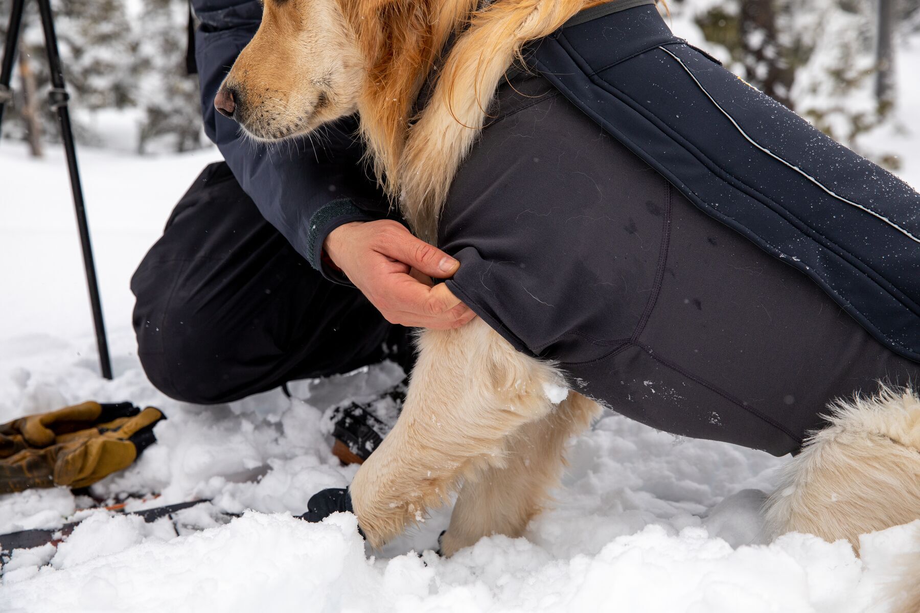 Ruffwear Hundemäntel Ruffwear Cloud Chaser™ Hundejacke schwarz XS