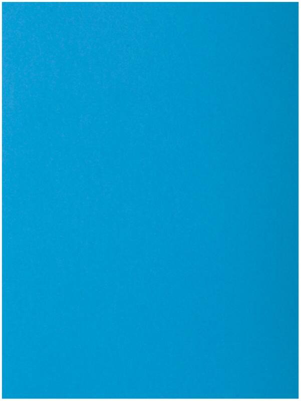 Exacompta Aktenmappe 218019E DIN A4 Blau Karton 24 x 32 cm 250 Stück