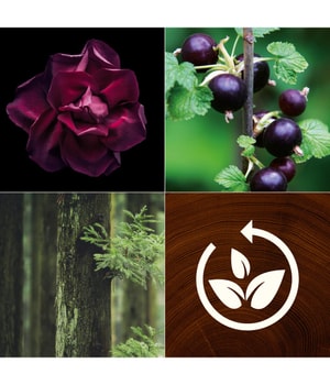 WoodWick ReNew Black Currant & Rose Duftkerze-184 g