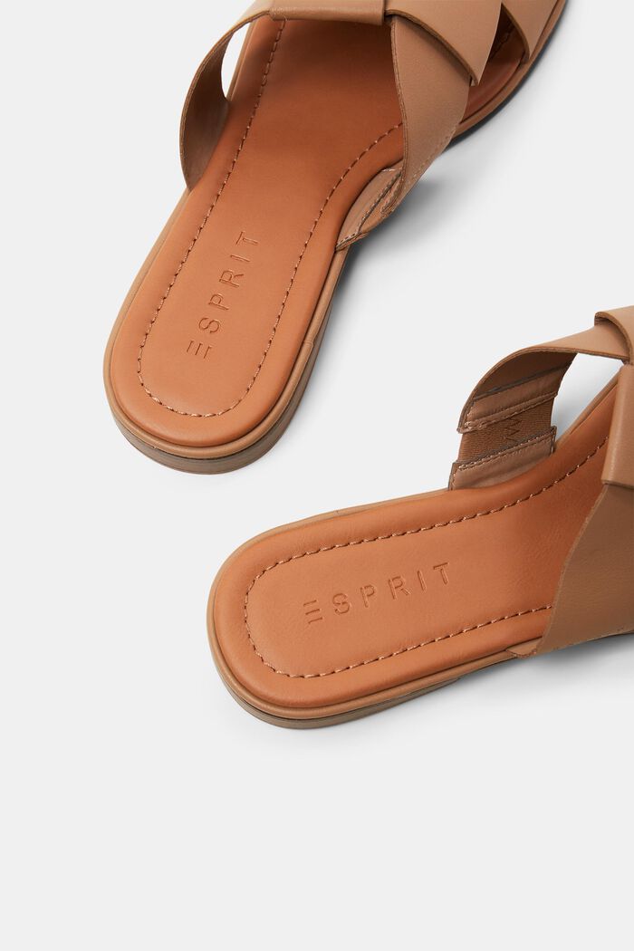 Slides