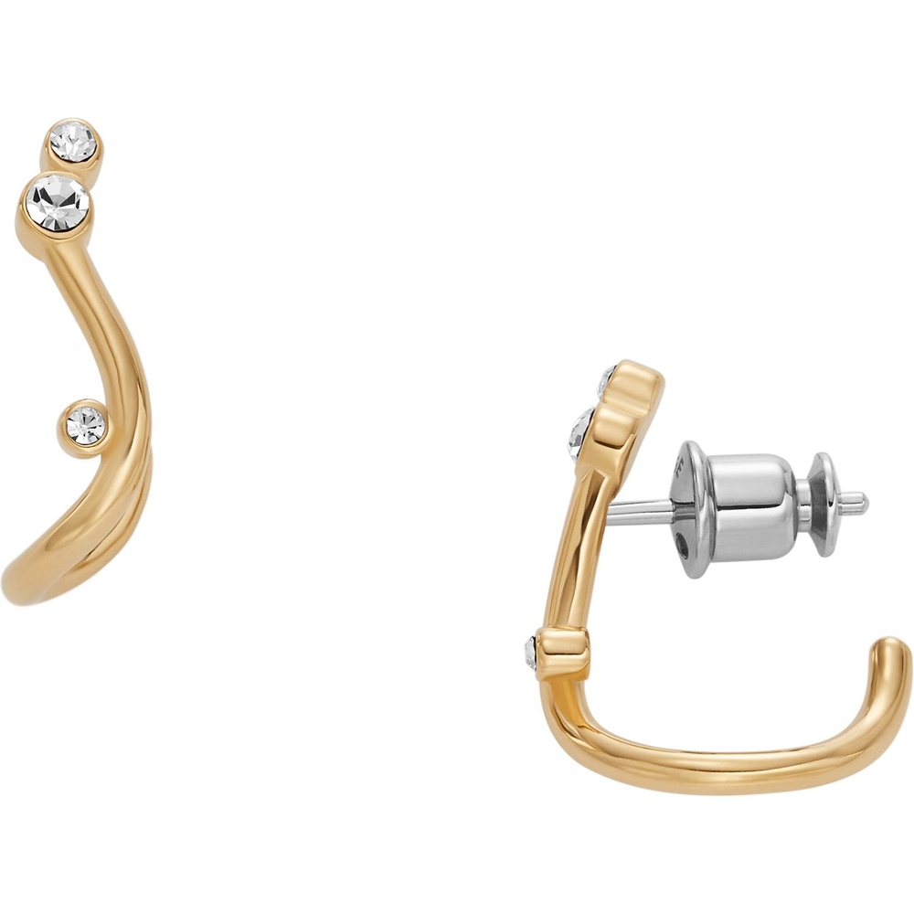 Skagen Boucles d'oreilles à fermoir à poussette Acier inoxydable Boucles d'oreilles