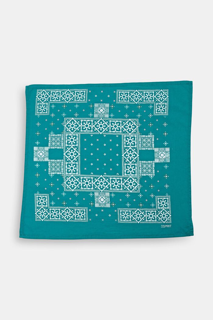 Shawls/Scarves