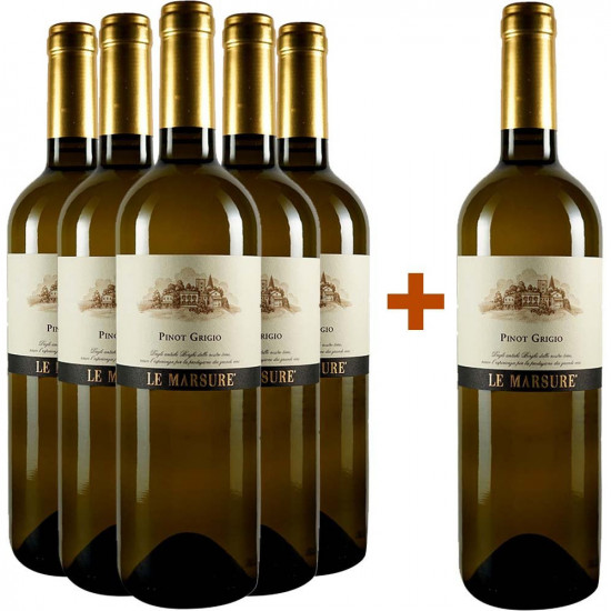 5+1 Paket Pinot Grigio Le Marsure - Teresa Raiz