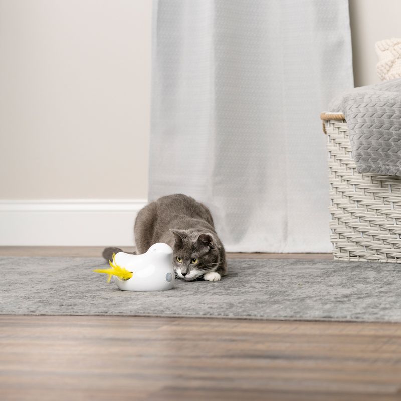 PetSafe Peek-a-Bird Elektronisches Katzenspielzeug