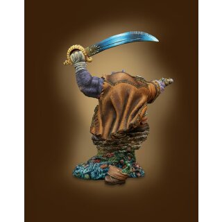 Hippo Pirate