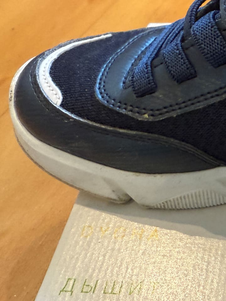 Geox Sneakers 