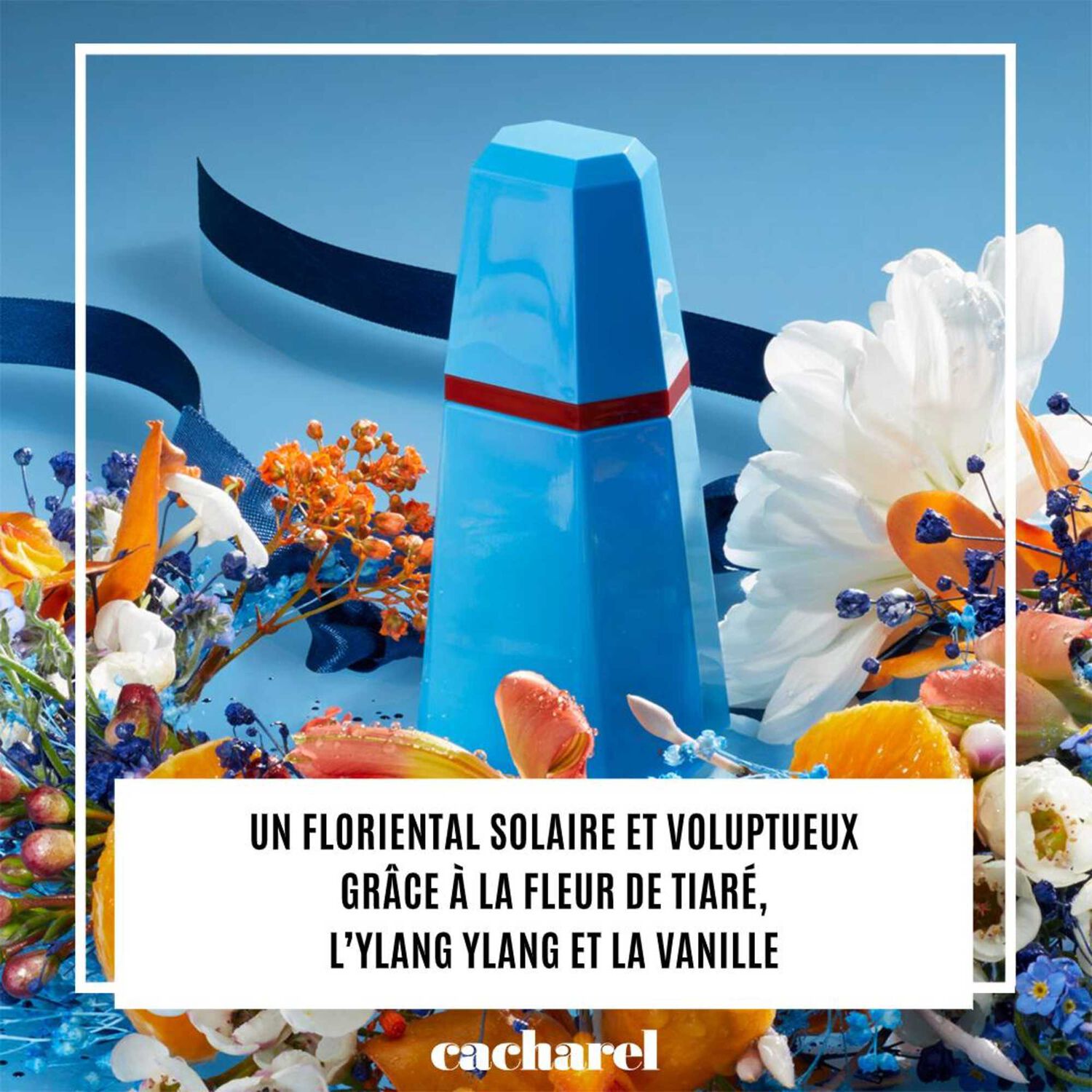 Cacharel Loulou Eau de Parfum
