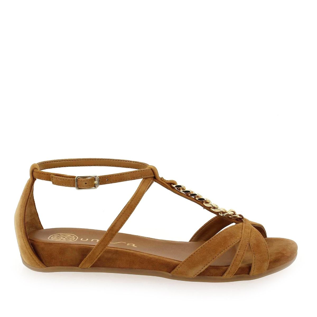 Unisa  AITOR - Camel