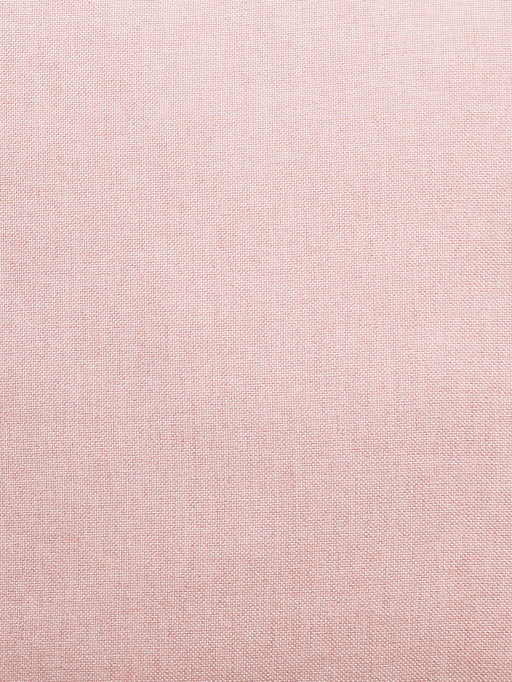 Leif Kissen, Rose