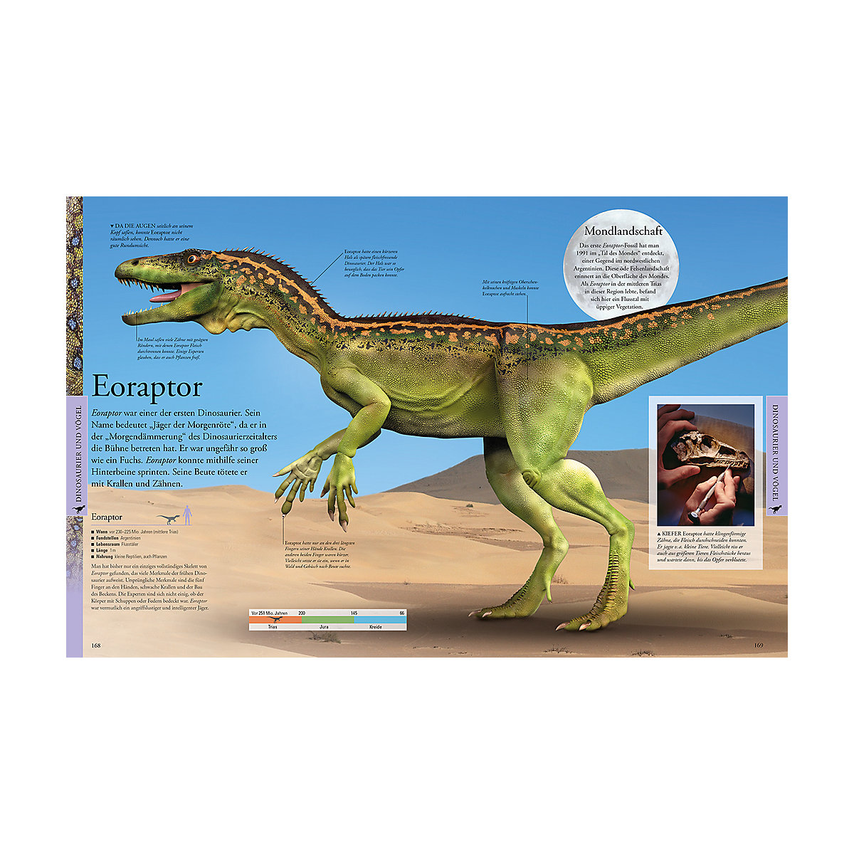 Dinosaurier und andere Tiere der Urzeit für clevere Kids