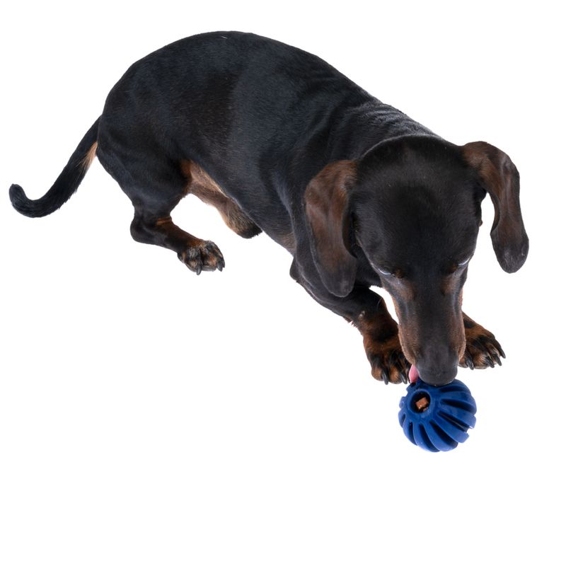 Nomad Tales Bloom Snack-Ball zu TOP-Preisen