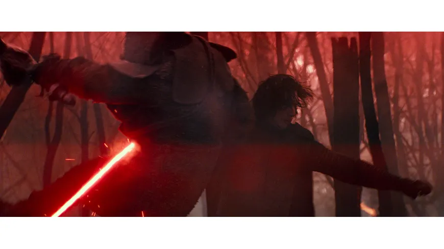 Star Wars - Der Aufstieg Skywalkers  [2 BRs]