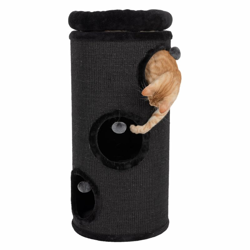 Kratztonne Diogenes L - schwarz zum TOP-Preis kaufen