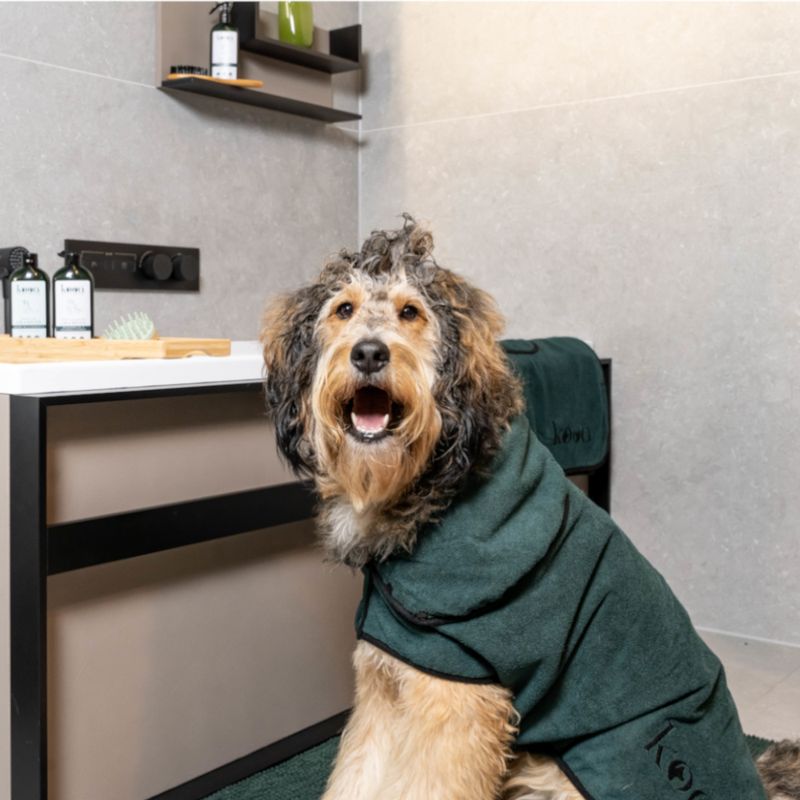 kooa Deluxe Mikrofaser Hundebademantel zu TOP-Preisen | bitiba %